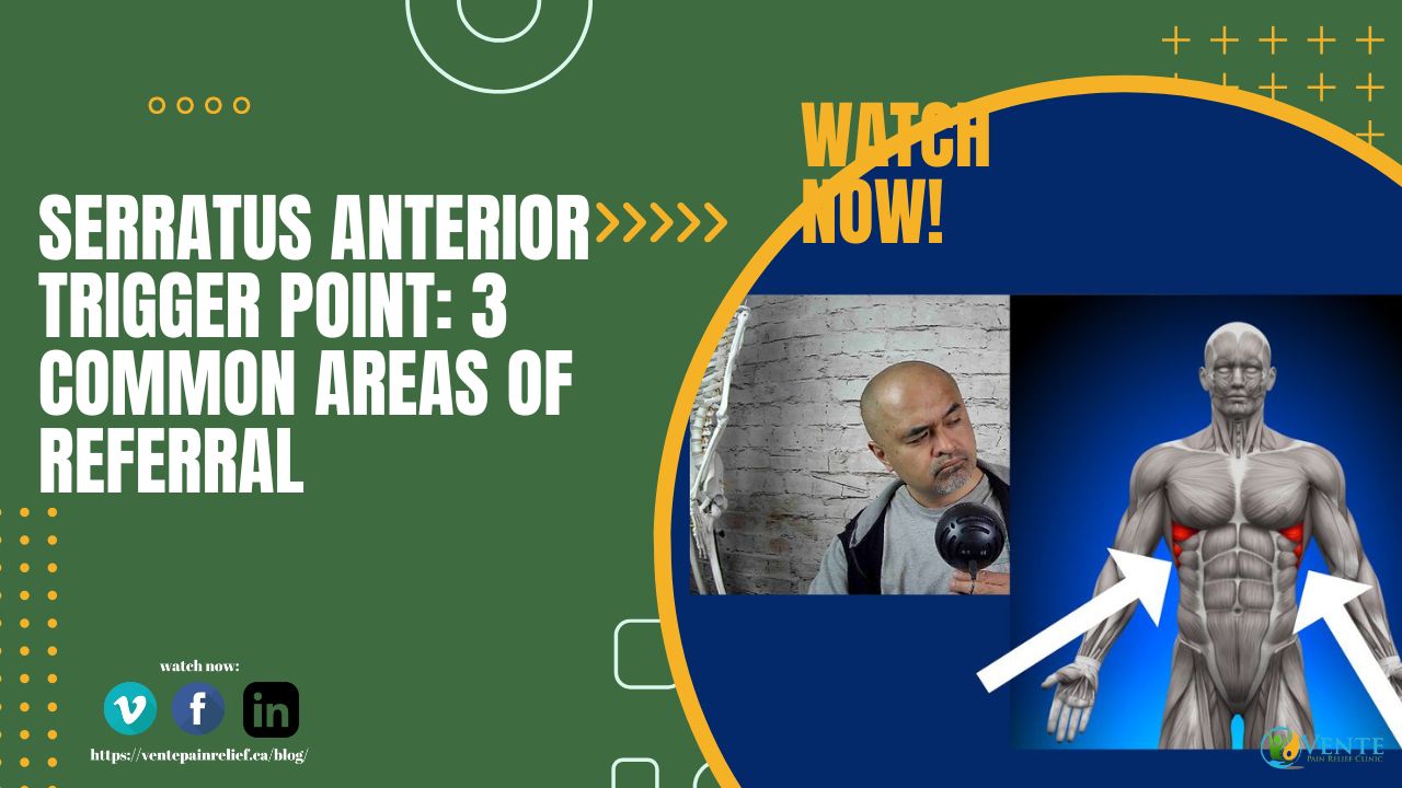 pain between the shoulder blades